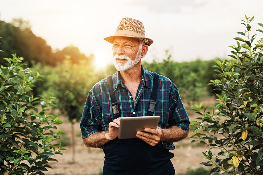 Specialized Business Insurance - Portrait of Mature Farmer Standing In Field Of Trees Using His Tablet